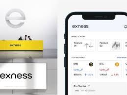 Unlocking the Potential Online Trading With Exness
