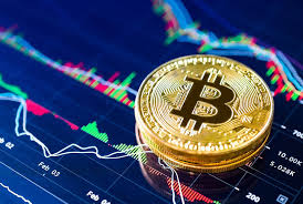 Exploring the Future of Wealth Management Crypto Trading Software Bot Exploring the Future of Wealth Management Crypto Trading Software Bot