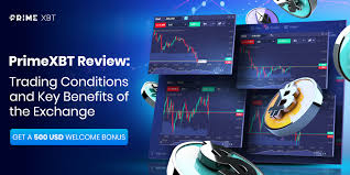 PrimeXBT Online Trading Platform Unlocking the Future of Trading